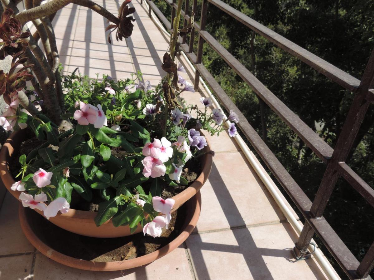 B&B Sa Manta Sassari Zewnętrze zdjęcie